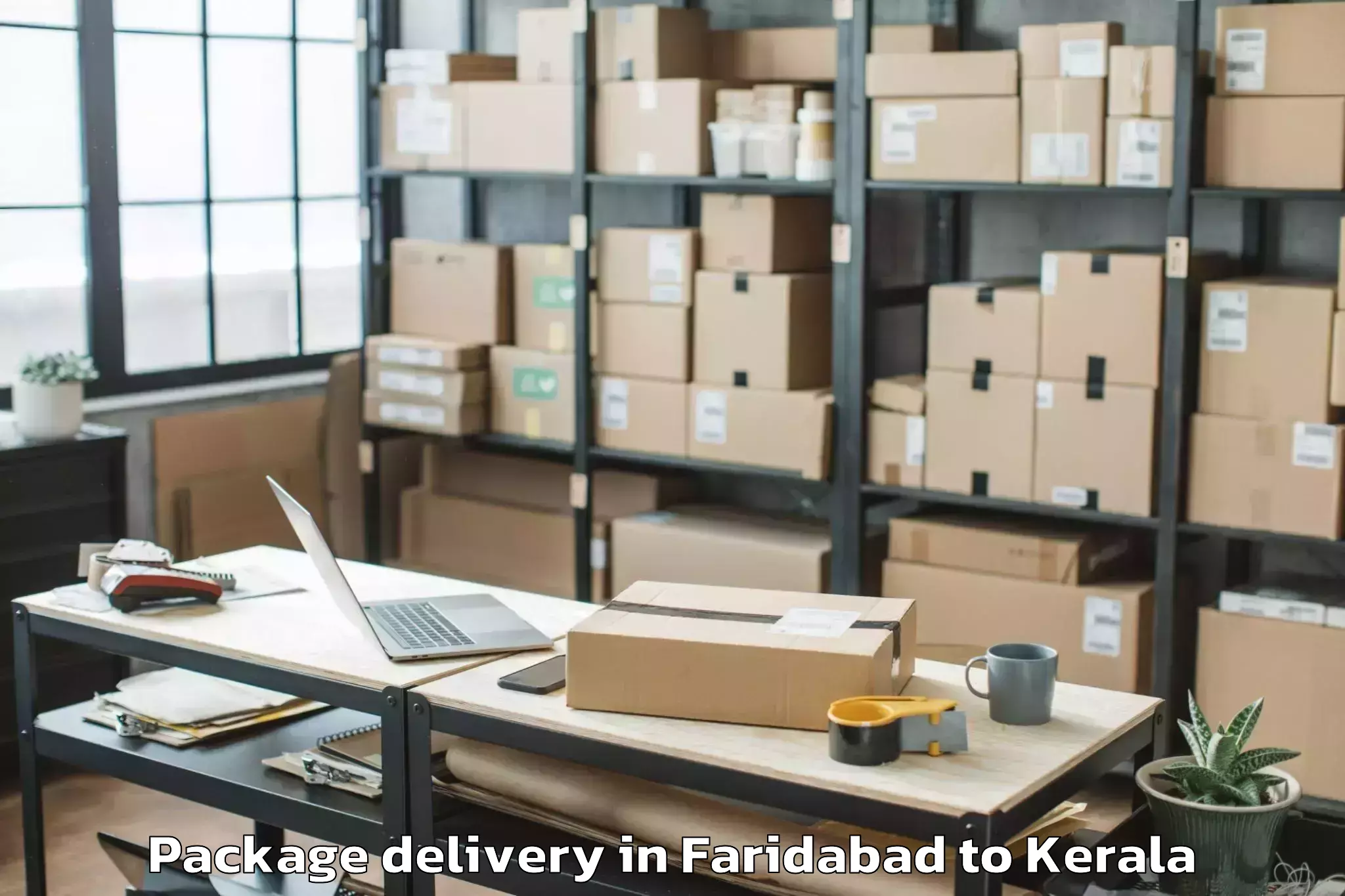 Get Faridabad to Y Mall Thriprayar Package Delivery